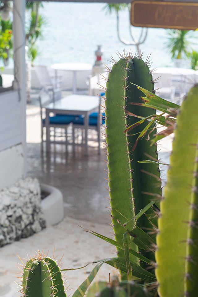 hôtel Sulawesi csbir