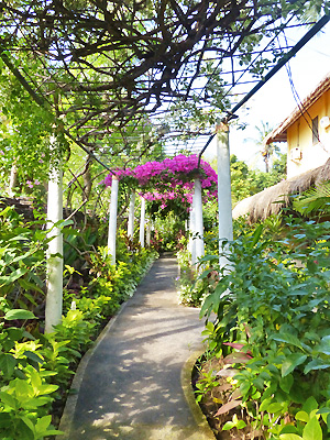 hôtel Bali cscsp