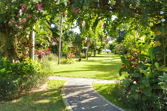 hôtel Bali cscsp