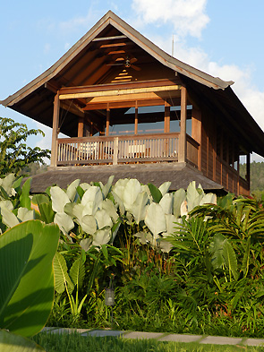 hôtel Bali cskay