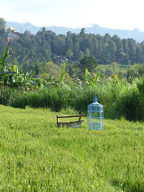hôtel Bali cskay