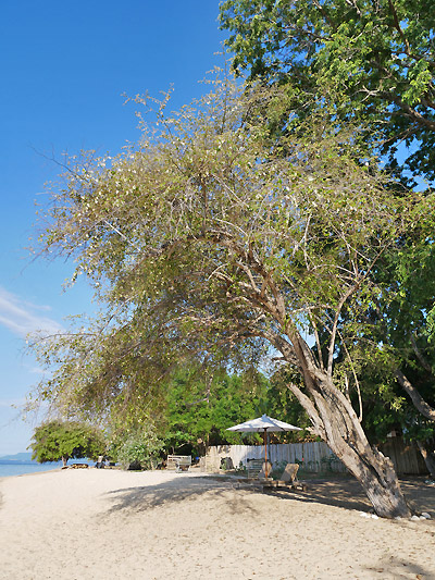 hôtel Komodo CSKSI