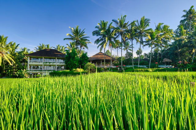 hôtel Bali csku