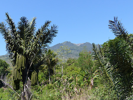 hôtel Flores CSMO