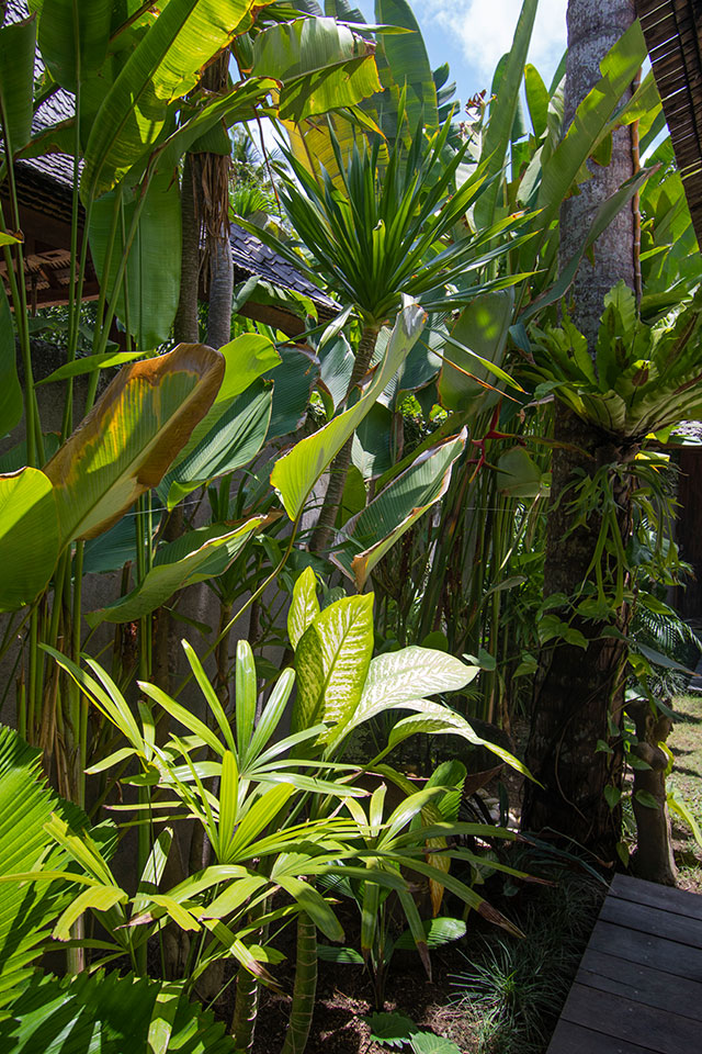 hôtel Lombok CSOL