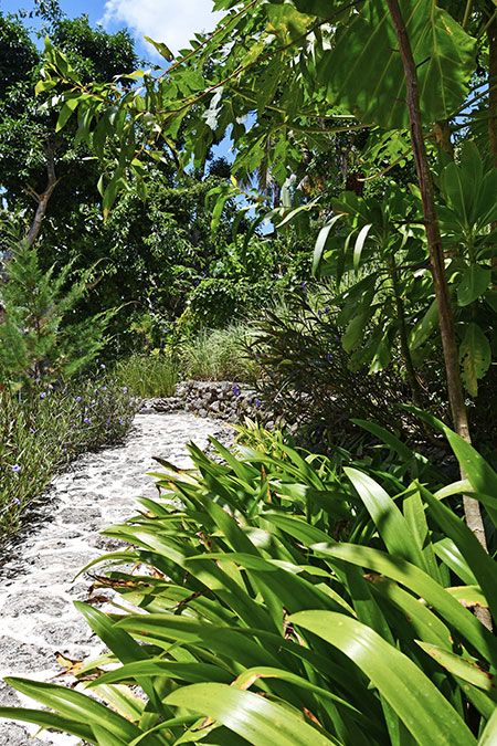 hôtel Nusa Penida CSPEN