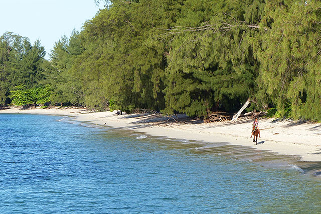 hôtel Sumba CSPUR