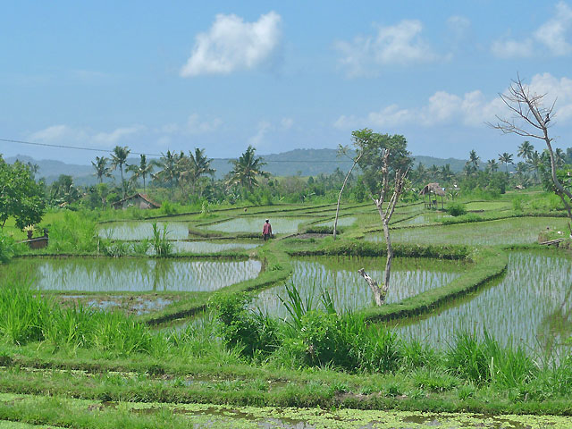 hôtel Bali csvb