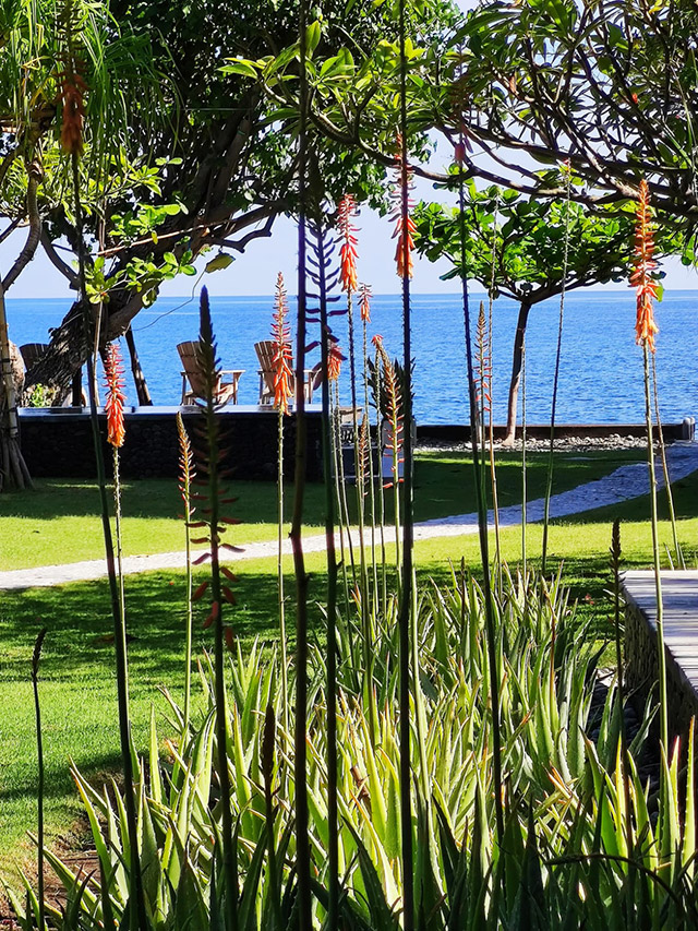 hôtel Bali CSVPU