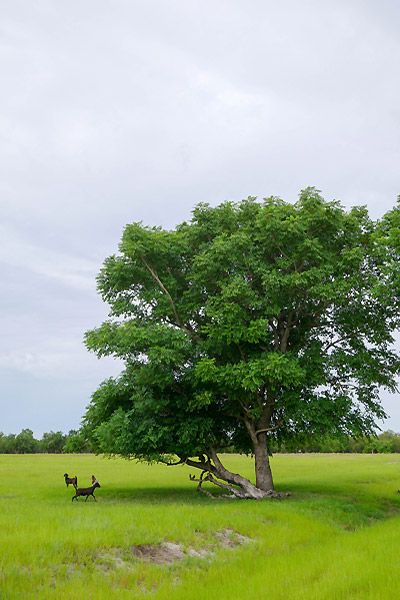 hôtel Sumba CSWE