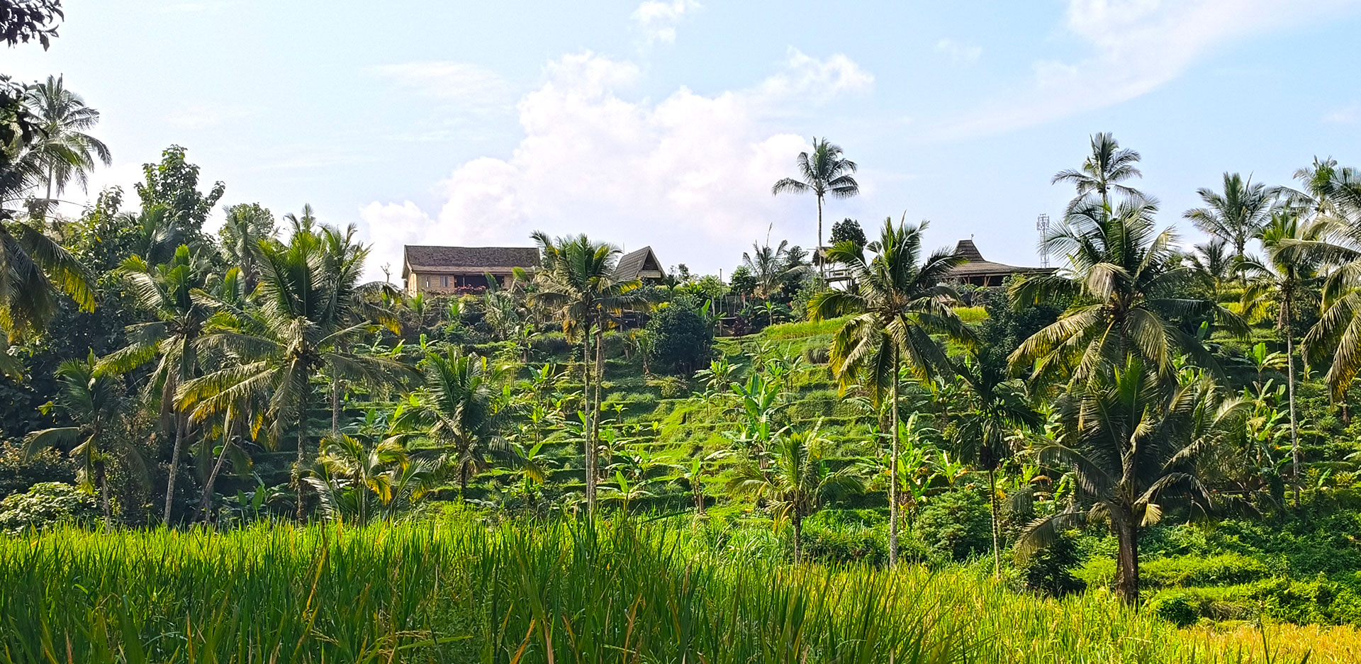 hôtel Bali HSAJ