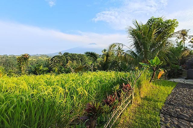 hôtel Bali HSAJ