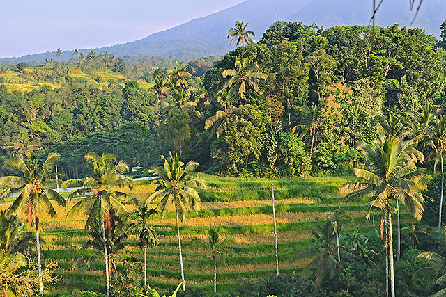 hôtel Bali HSAJ