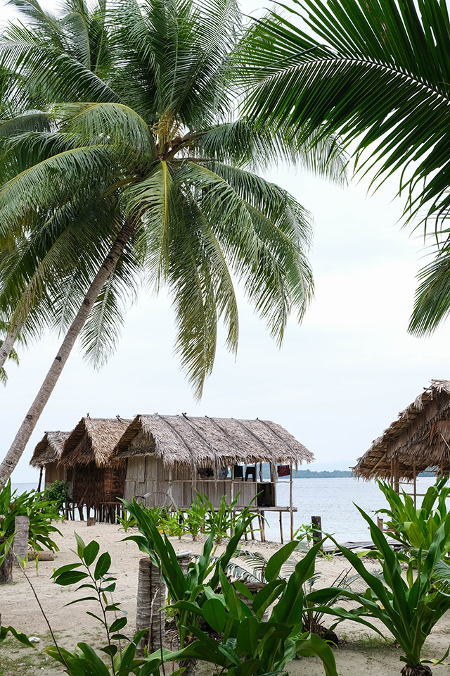 hôtel Raja Ampat HSBR