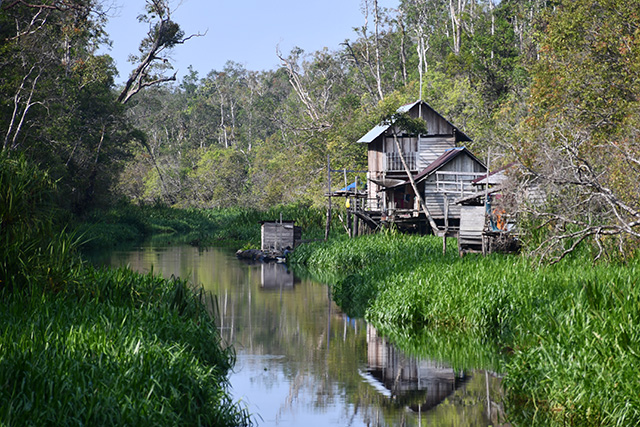 croisiere borneo