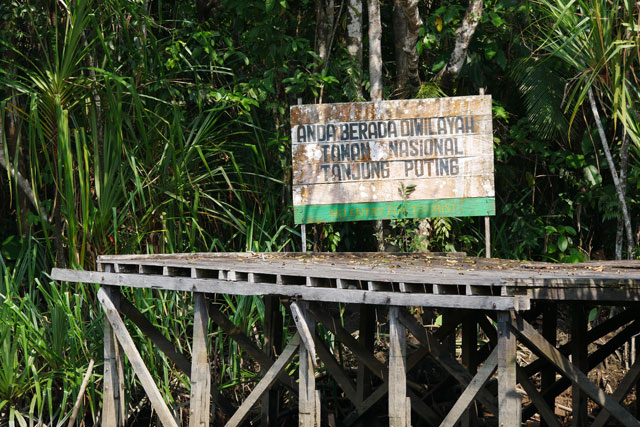 croisiere borneo