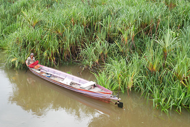 croisiere borneo