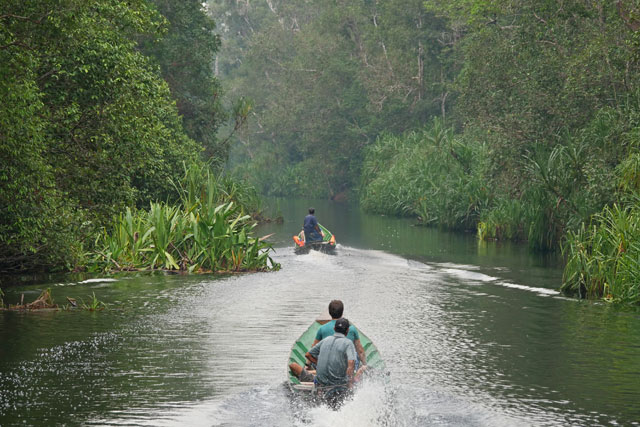 croisiere borneo