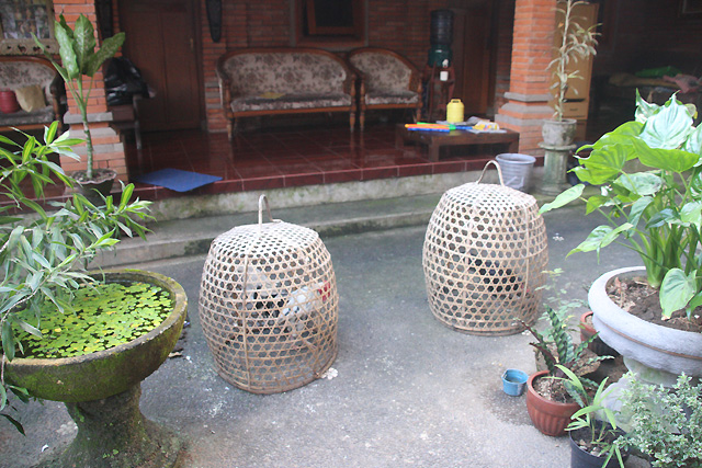 Chez l'habitant à Bali gede