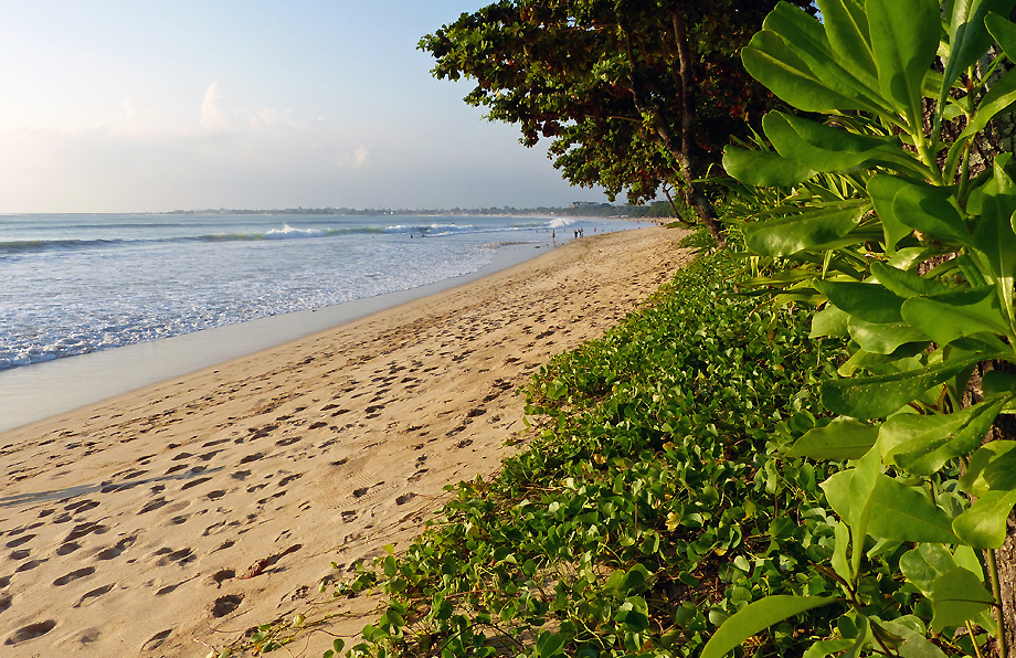 hôtel Bali CMJI
