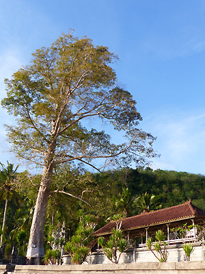 Plage Penida Hotel