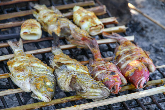 camping Flores