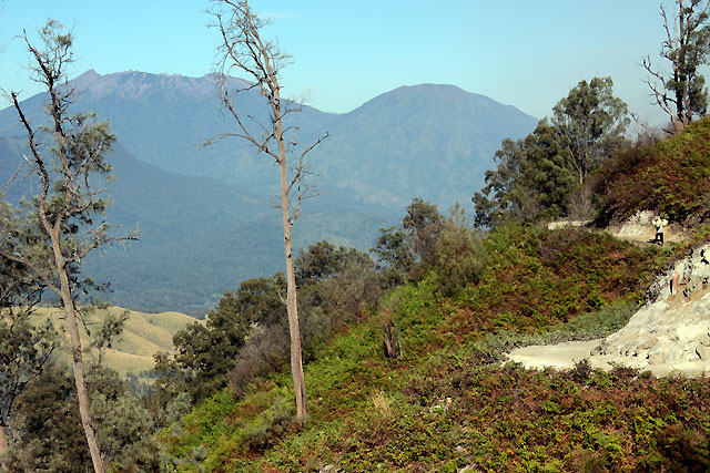 Kawa Ijen Java