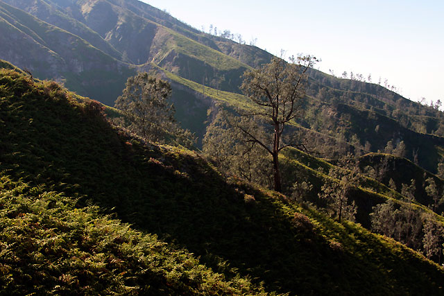 Kawa Ijen Java