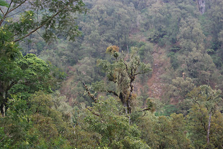 Volcan Semeru Java