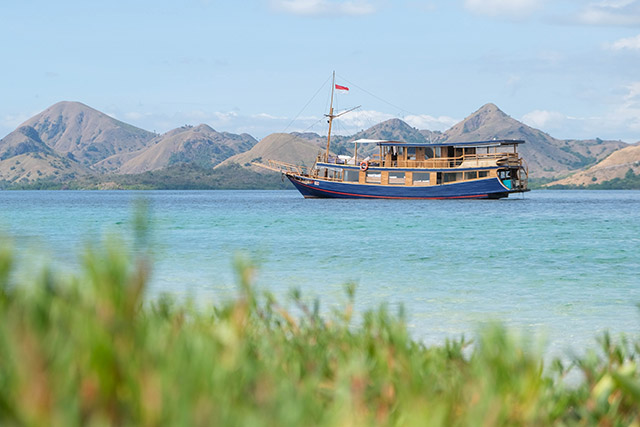 Komodo