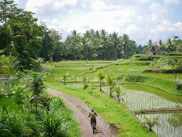 Lombok