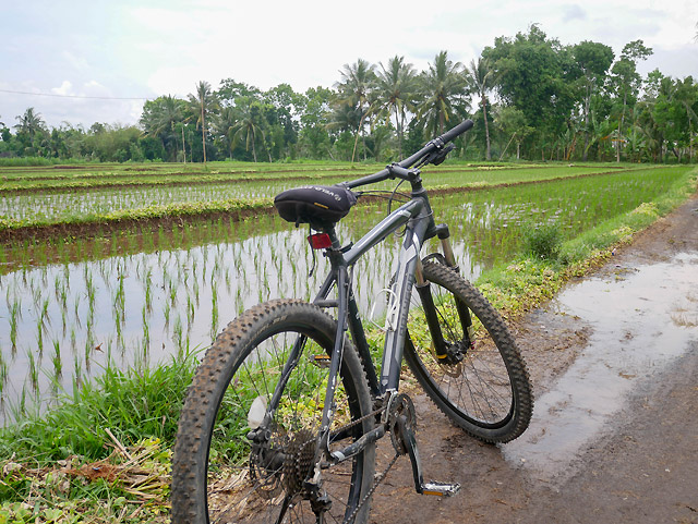 Lombok