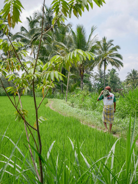 Lombok