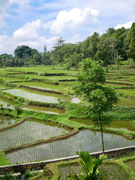 Lombok