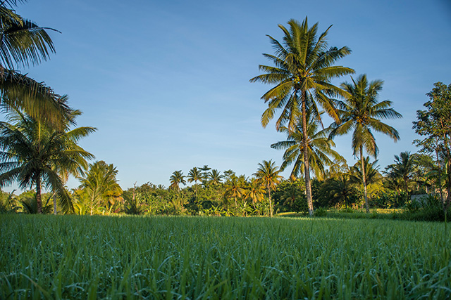 Lombok