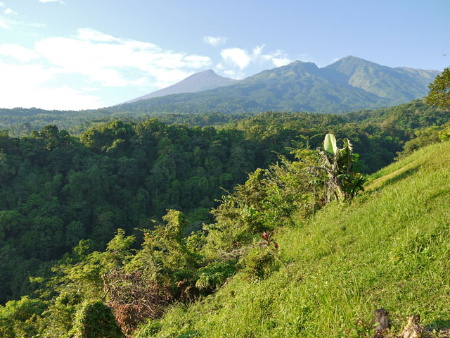 Lombok