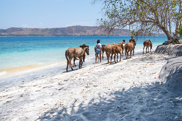 Lombok