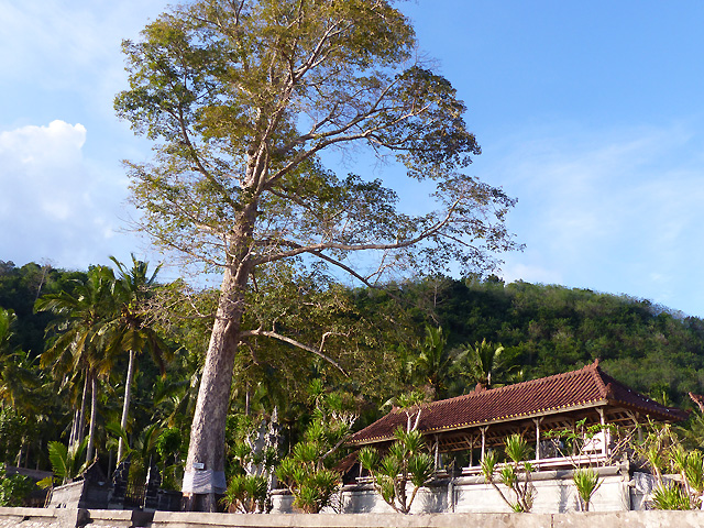 Nusa Penida