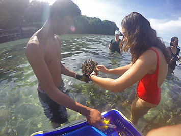 Ocean Gardener Bali