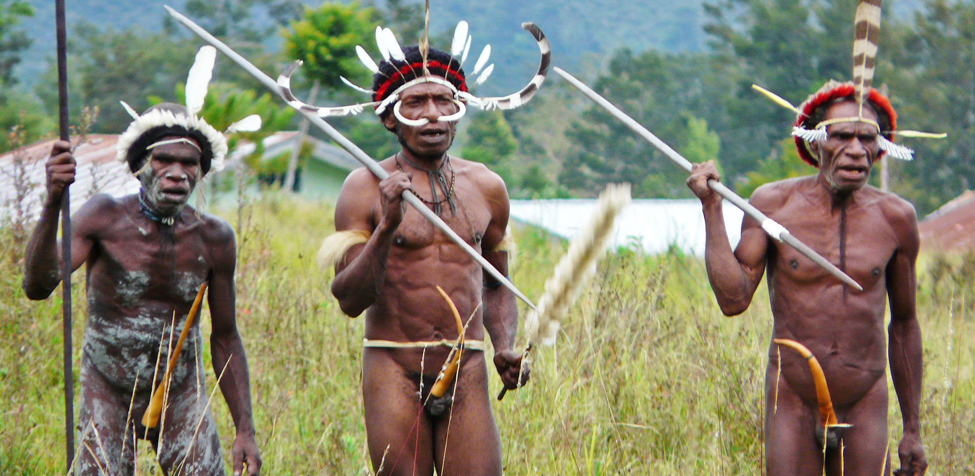 papua.jpg