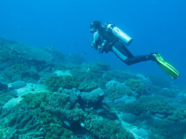 plongée Bali