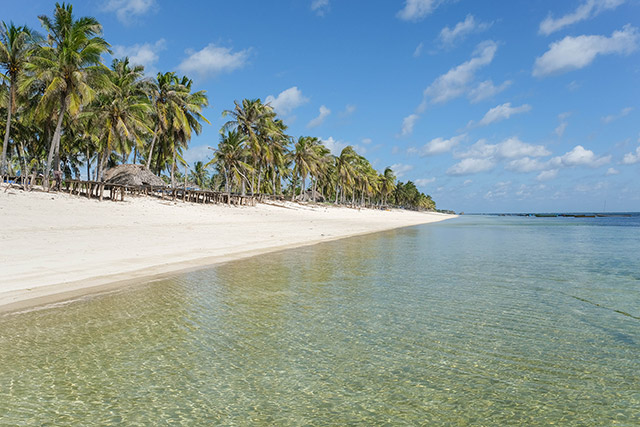 ile de Rote - Indonésie