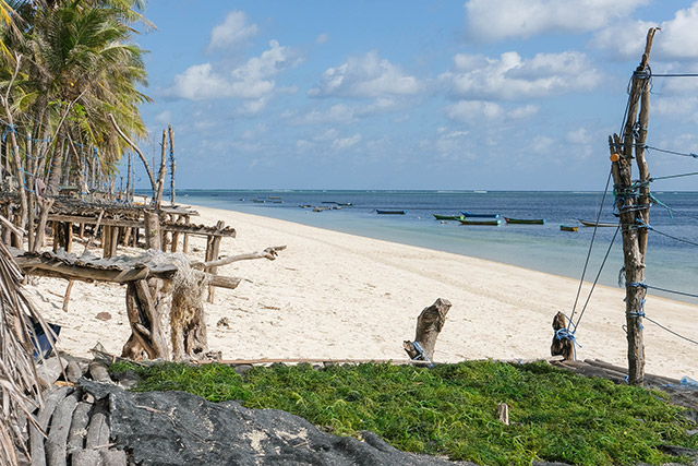 ile de Rote - Indonésie