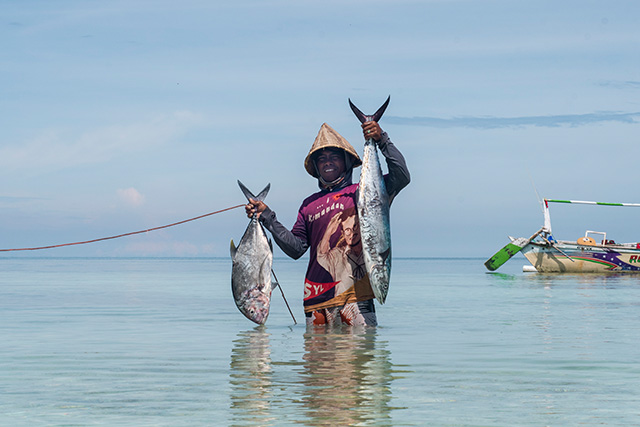 Sulawesi bira