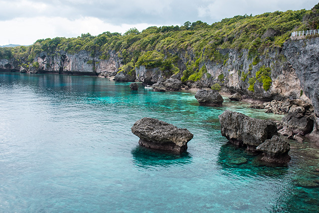 Sulawesi bira
