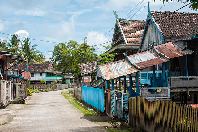 Sulawesi bira