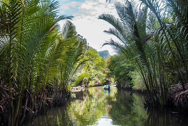 Sulawesi rammang rammang