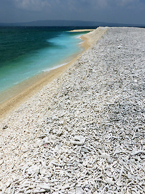 Sulawesi Selayar
