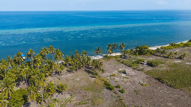 Sulawesi Selayar