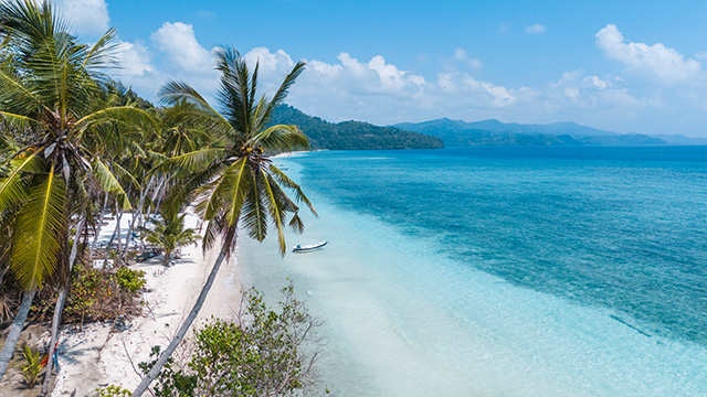 Sulawesi Selayar